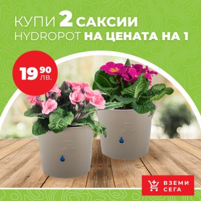 2 саксии на цената на 1: Hydro Pot Канелка с кашпа и напоителна система - 05800030 - Hydro Pot